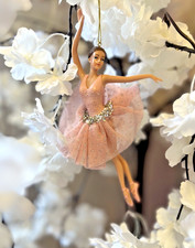 Stunning Fairy Ballerina in