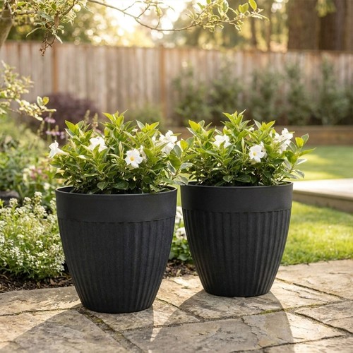 Large plant pot for - large,