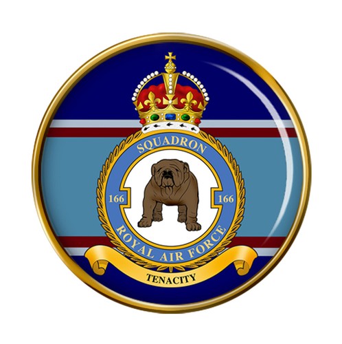 166 squadron raf pin - pin, badge