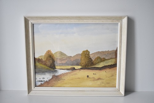 Framed original watercolour - framed,
