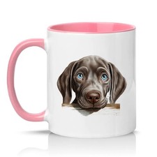 Weimaraner Puppy Peeking