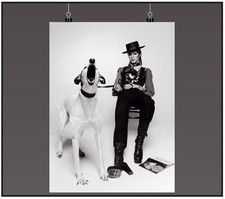 David bowie dog - music, poster