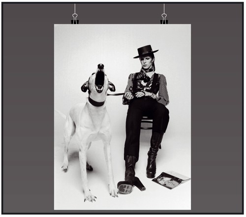David bowie dog music - music, poster