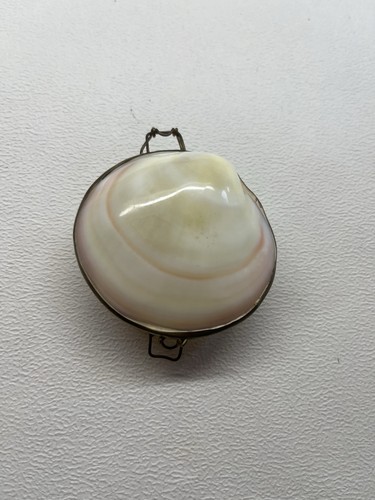 Vintage real clam - vintage, shell