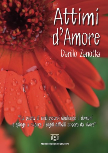 Danilo zanotta attimi amore - zanotta,