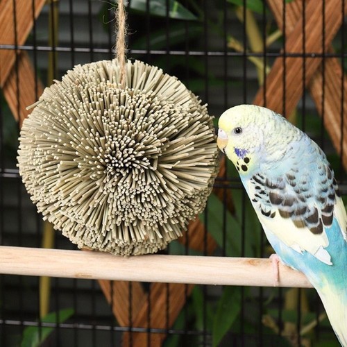 Parrot chew toys bite - toys,