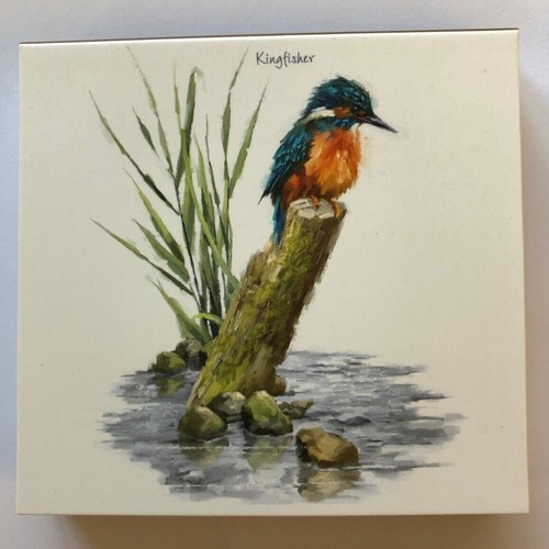 New small kingfisher - new, design