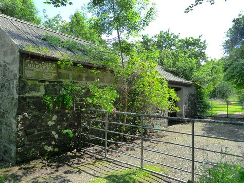 Photo farlough nursery - photo,
