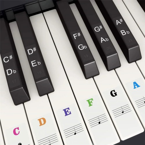 Piano keyboard note labels - keyboard,