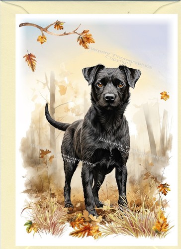 Patterdale terrier dog - patterdale,