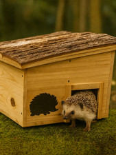 Wooden Hedgehog House Home