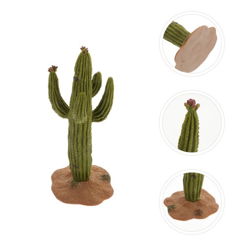 Cactus model small decor - cactus, baby