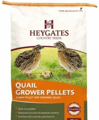Heygates quail grower - quail,
