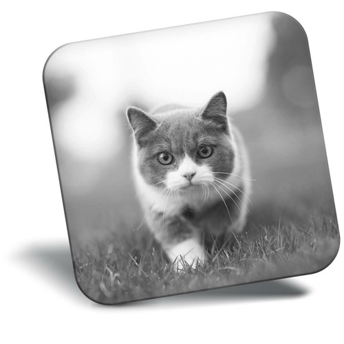 Awesome fridge magnet - fridge,