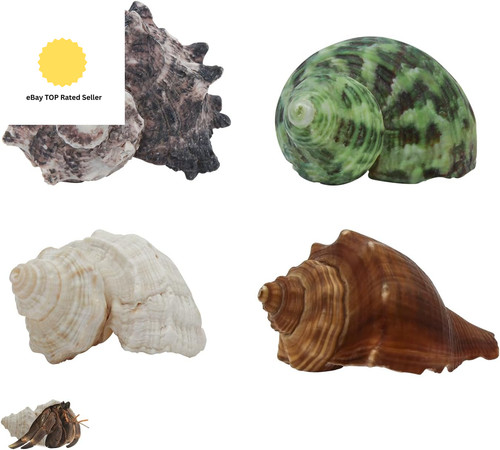 4pcs hermit crab - 4pcs,