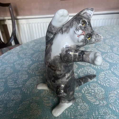Winstanley tabby white - winstanley, &