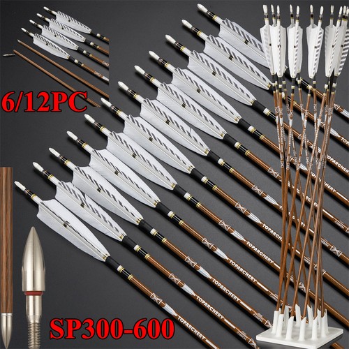 Sp300 600 12pcs - 12pcs, carbon