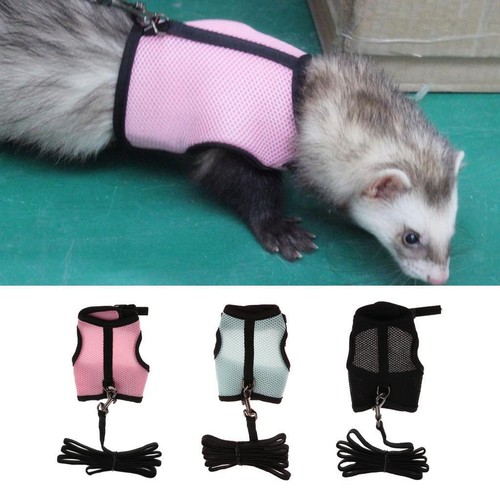 Rabbit ferret breathable mesh - ferret,