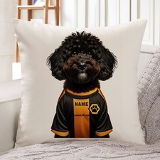 Wolverhampton Cockerpoo