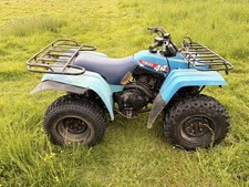 Yamaha big bear - bear, farm