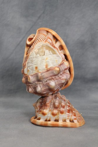 Antique vintage c1900 - c1900, carved