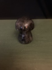 Small black stone mushroom 