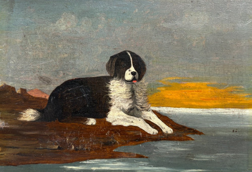Dog sunset animal - animal, painting