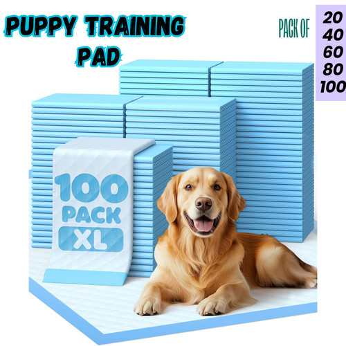 Pet puppy pads training - pet,