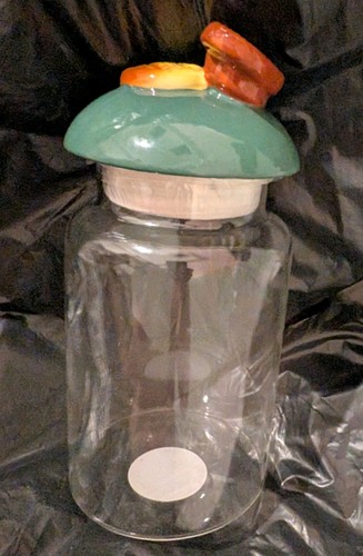 Glass biscuit cookie storage - biscuit/cookie,