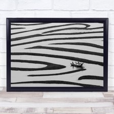 Zebra Canal Canals Person Boat