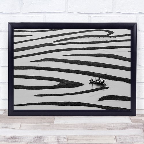 Zebra canal canals person - zebra, boat