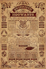 (182) NEW MAXI POSTER HARRY POTTER QUIDDITCH AT HOGWARTS BROOM STICK
