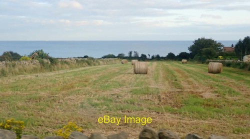 Photo 12x8 cliff top - hay, field