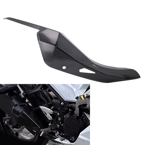 Exhaust heat shield - shield, cover