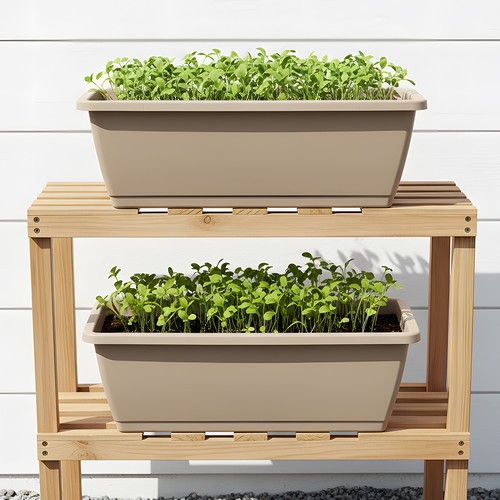 10pcs plastic window box - window,