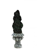 Dolls House Flat Back Topiary