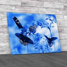 Beautiful Tropical Butterflies On A Flowers Canvas Print Large Picture Wall Art