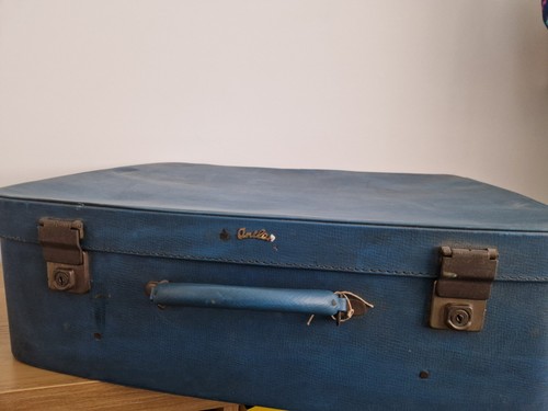 Vintage blue antler suitcase - vintage,