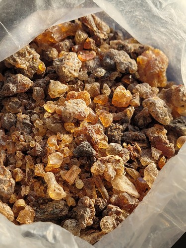Very rare organic commiphora - very,