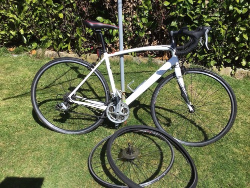 Specialised secteur road - road, bike