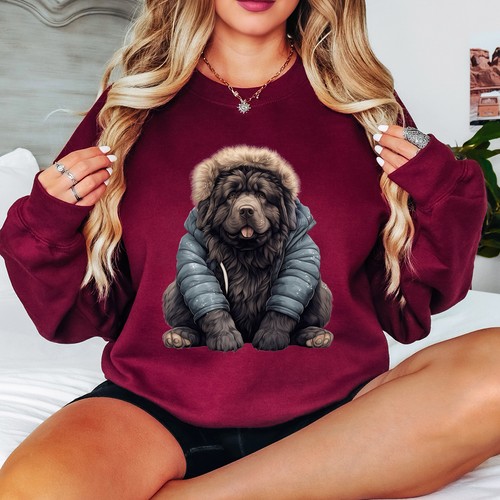 Newfoundland dog winter - dog,