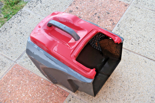 Mountfield princess grass - mountfield,