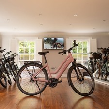 Riese & Muller Culture Mixte