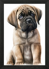 English Mastiff Dog 03 Framed
