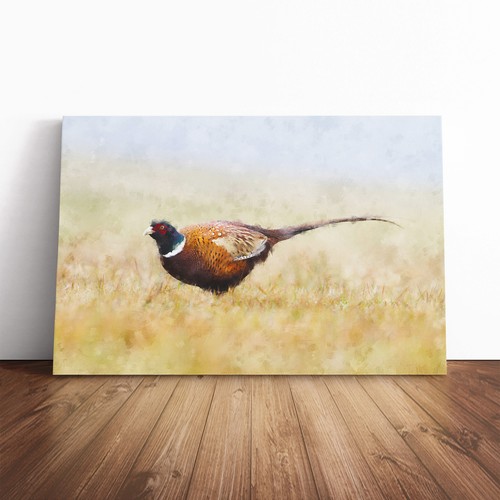 Pheasant bird canvas - pheasant, wall