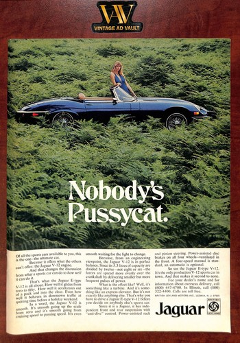 1974 jaguar type v12 - 1974,