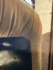 Bonanza Armchair Tobia & Afra Scarpa for C & B Italia, 1970s RARE Design