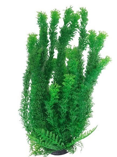 Plastic aquarium plant base - plastic,