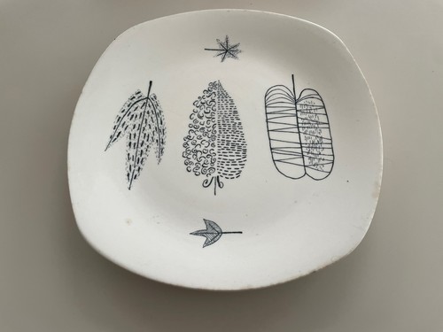Midwinter nature study plate - study,