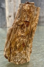 KNOTTY* Freestanding 2 Lb